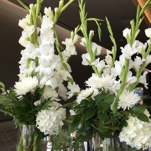 Meet your Posher, Donna